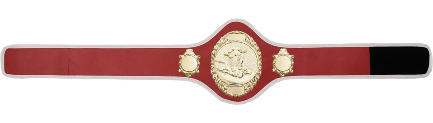 MMA CHAMPIONSHIP BELT-PRO286/G/MMAG-10+ COLOURS